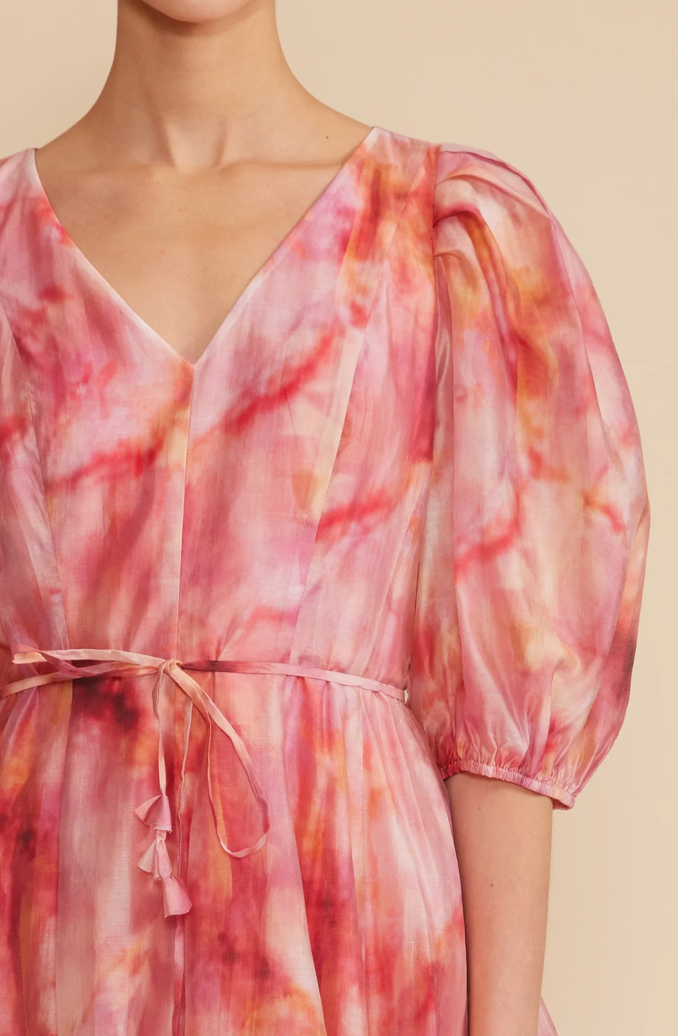 Alexis Puff Sleeve Mini Dress