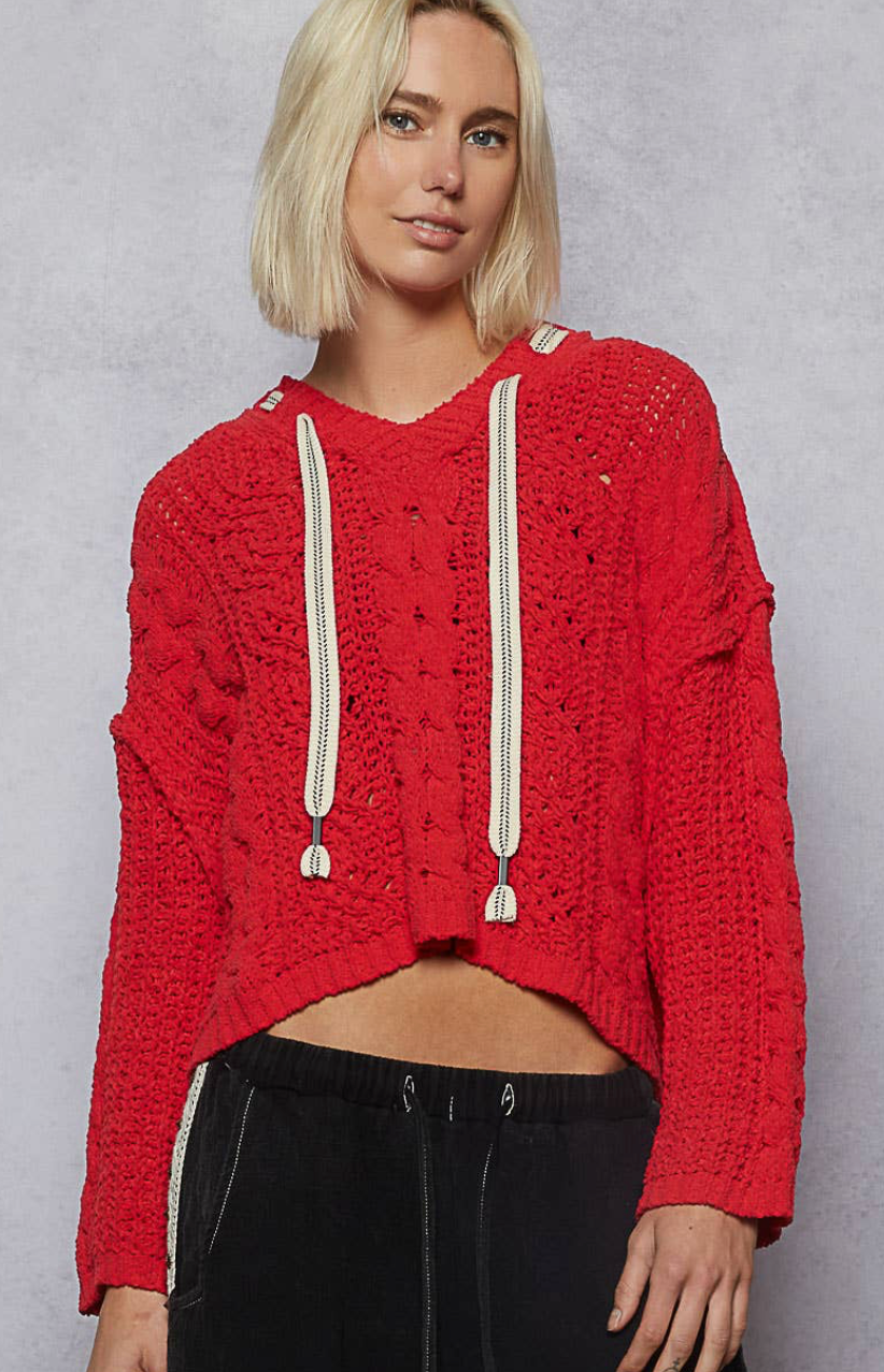 Telluride Hoodie