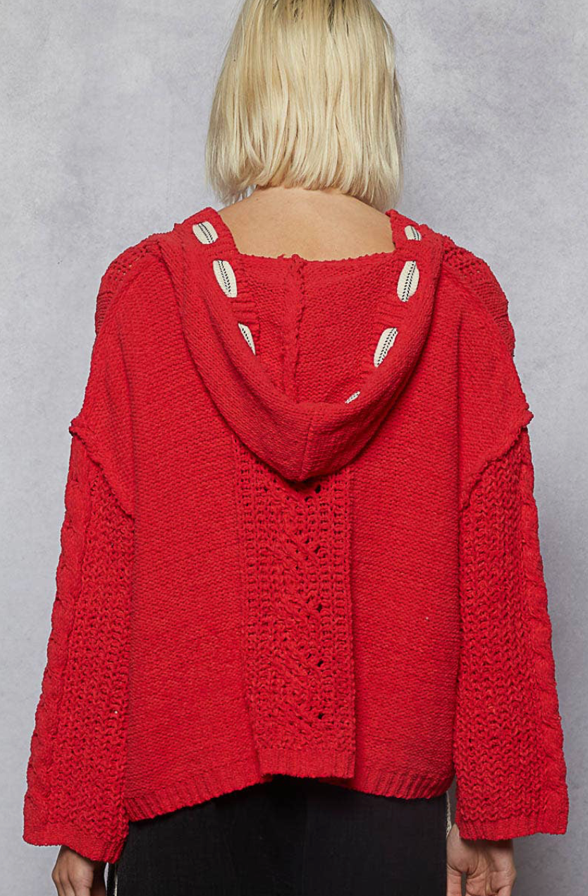 Telluride Hoodie