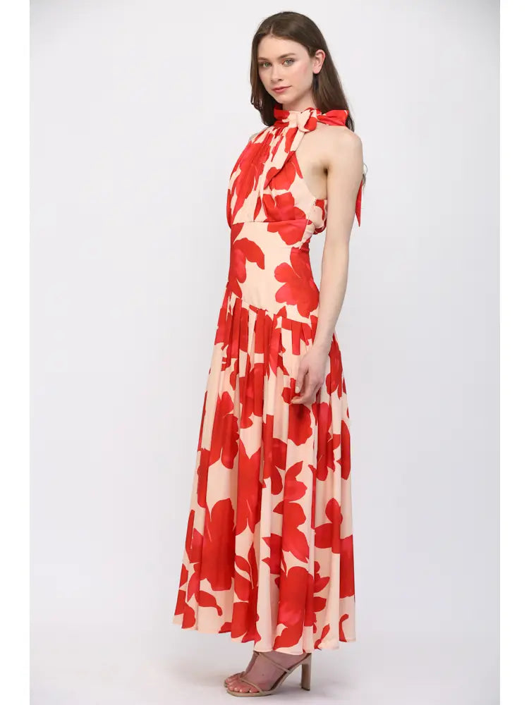 Sangria Maxi Dress