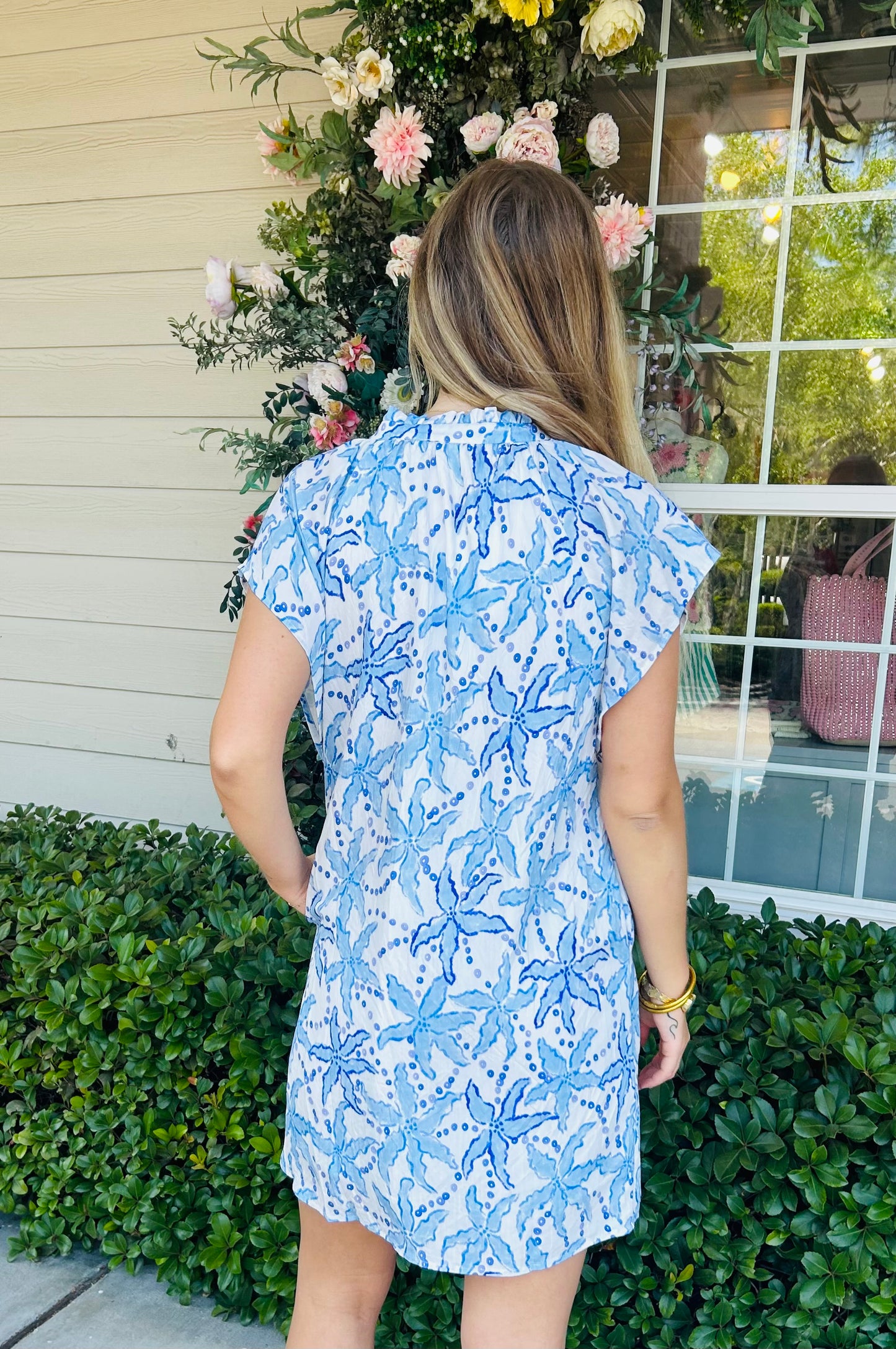 Bluebird Dress